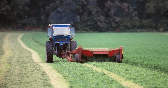 A brown field with a dark blue sky above