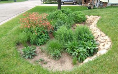 Rain garden with native plants in a grassy yard.