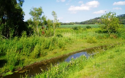 small Black Earth Creek in a green countryside at Sunnyside Unit