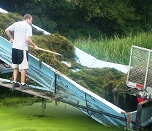 Aquatic Plant Harvesting
