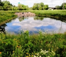 Urban Water Quality Grant Program