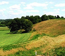 agricultural fields with deciduous trees in background
