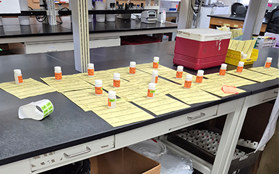 Small samples of water on a table with data sheets under them.