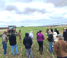 a group of people talking in a field