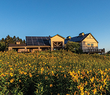 Heritage Center against a blue sky with a blooming prairie in the foreground