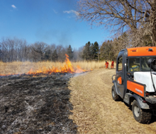 Natural Areas Restoration and Management