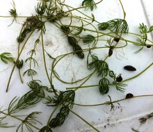 Links to Partner Resources