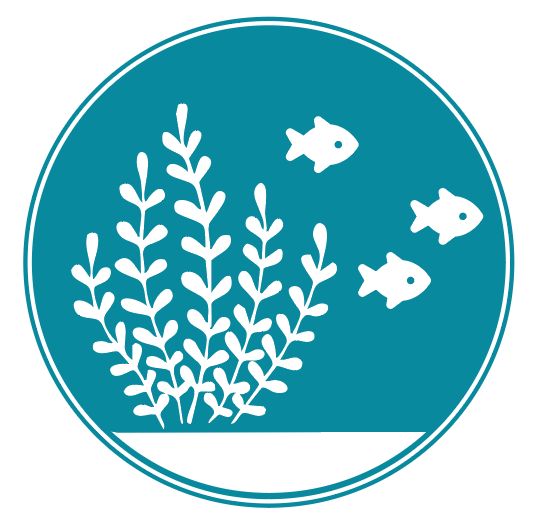 Watershed Network logo