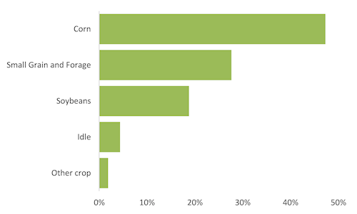 Distribution of crops in Dane County from 1994-2022 transect points